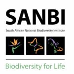 Screenshot_2024-07-21-14-48-41-857_com.google.android.googlequicksearchbox-edit