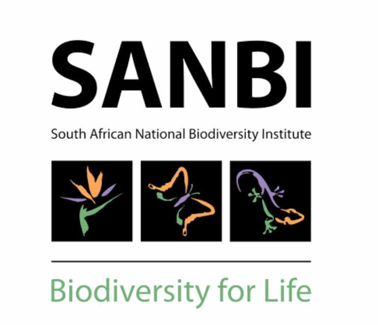 Screenshot_2024-07-21-14-48-41-857_com.google.android.googlequicksearchbox-edit