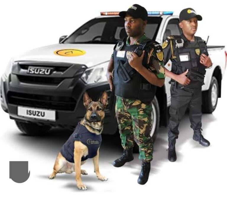 Screenshot_2024-07-29-08-33-42-317_com.google.android.googlequicksearchbox-edit