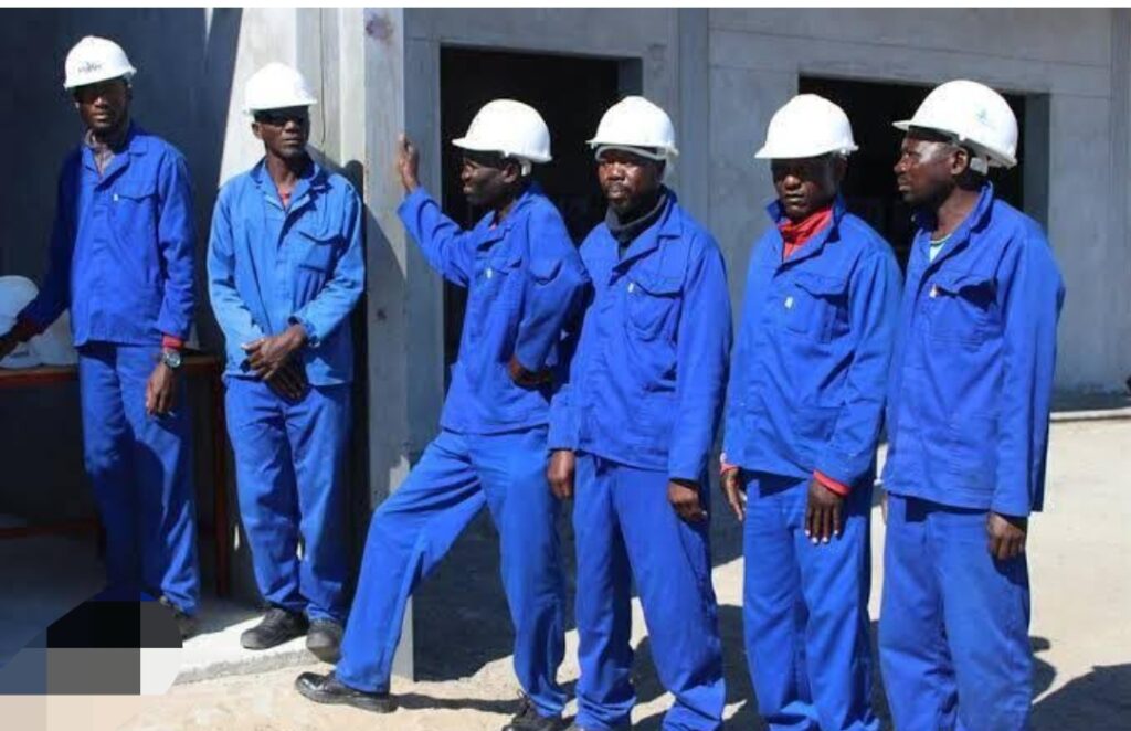 Screenshot_2024-08-13-20-46-43-503_com.google.android.googlequicksearchbox-edit