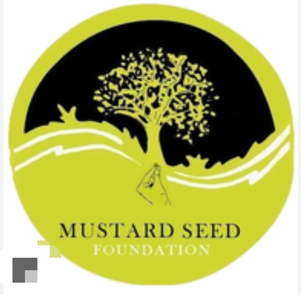 Screenshot_2024-09-29-14-56-18-634_com.google.android.googlequicksearchbox-edit