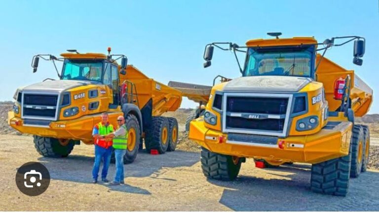 Screenshot_2024-12-03-09-15-59-338_com.google.android.googlequicksearchbox-edit