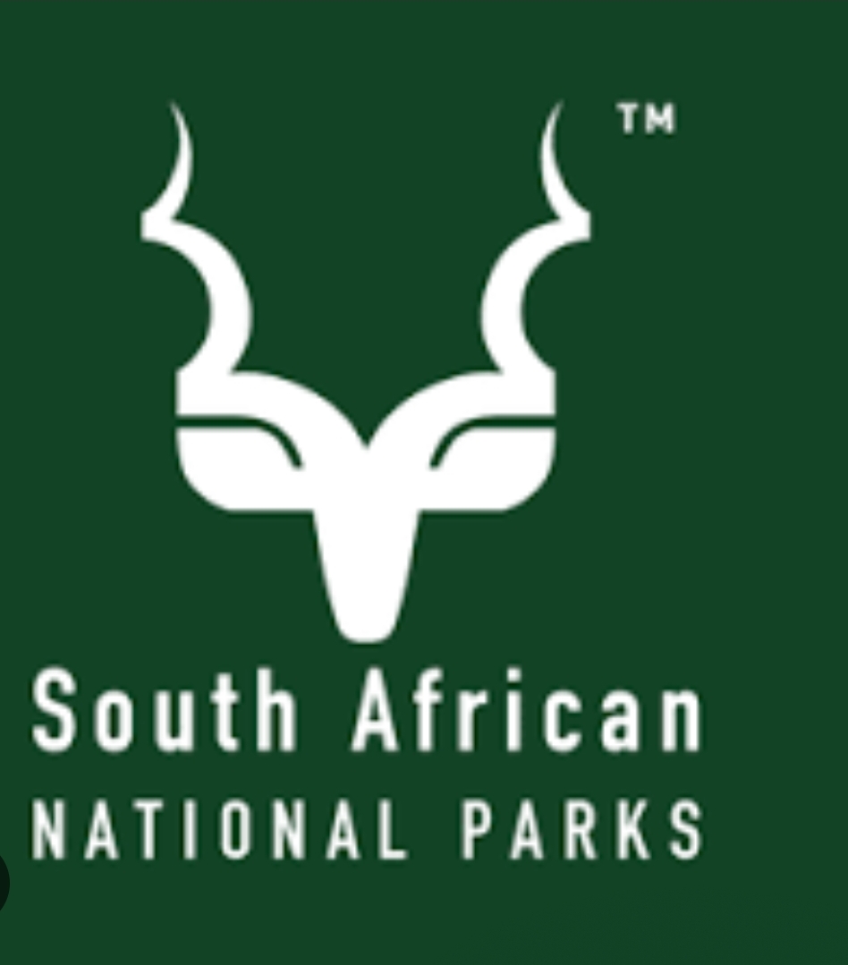 Screenshot_2025-01-30-09-01-24-413_com.google.android.googlequicksearchbox-edit